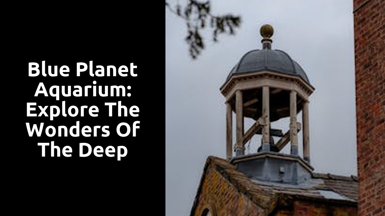 Blue Planet Aquarium: Explore the Wonders of the Deep