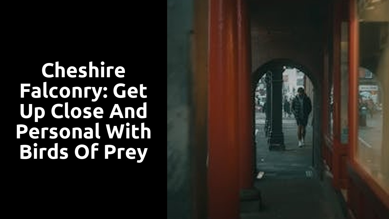 Cheshire Falconry: Get Up Close and Personal with Birds of Prey