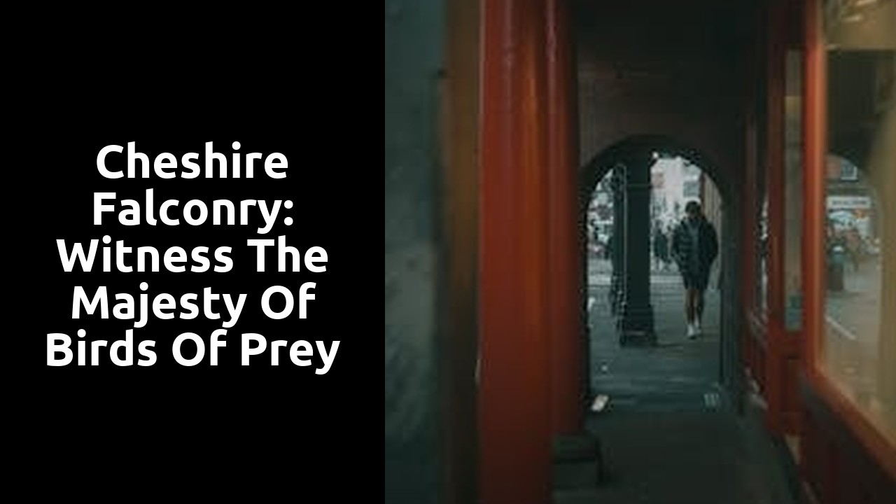 Cheshire Falconry: Witness the Majesty of Birds of Prey