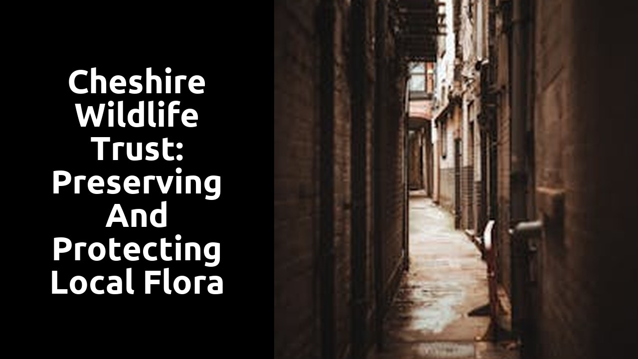 Cheshire Wildlife Trust: Preserving and Protecting Local Flora and Fauna