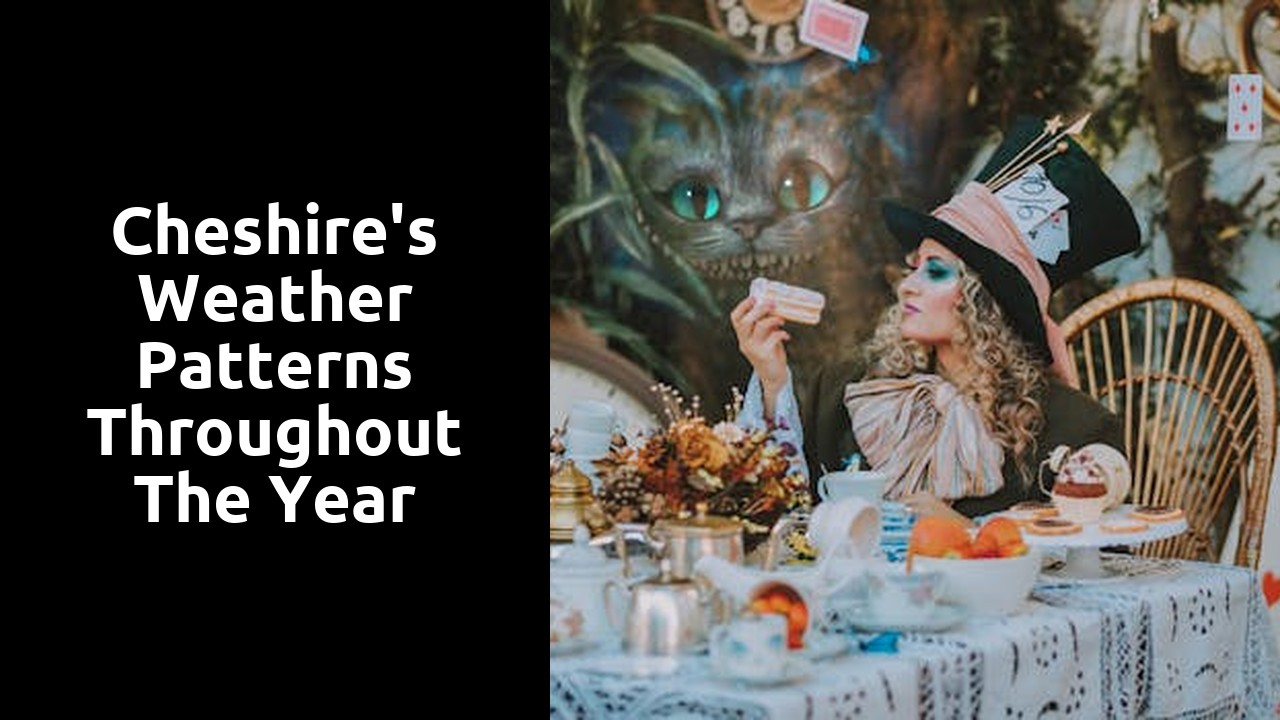 Cheshire's Weather Patterns throughout the Year