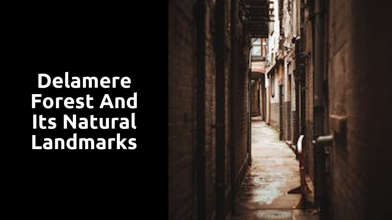 Delamere Forest and its Natural Landmarks