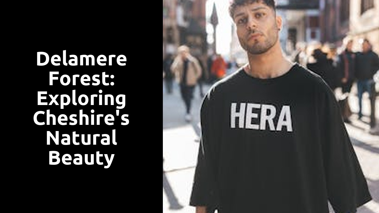 Delamere Forest: Exploring Cheshire's Natural Beauty