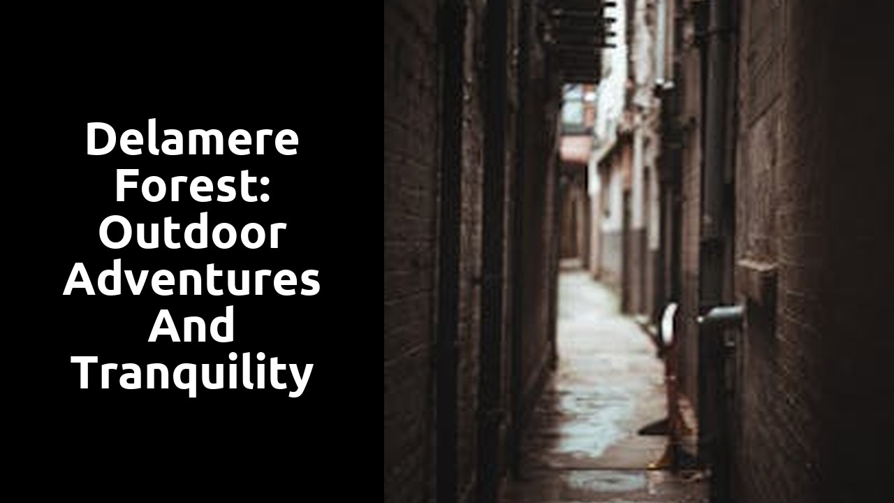 Delamere Forest: Outdoor Adventures and Tranquility