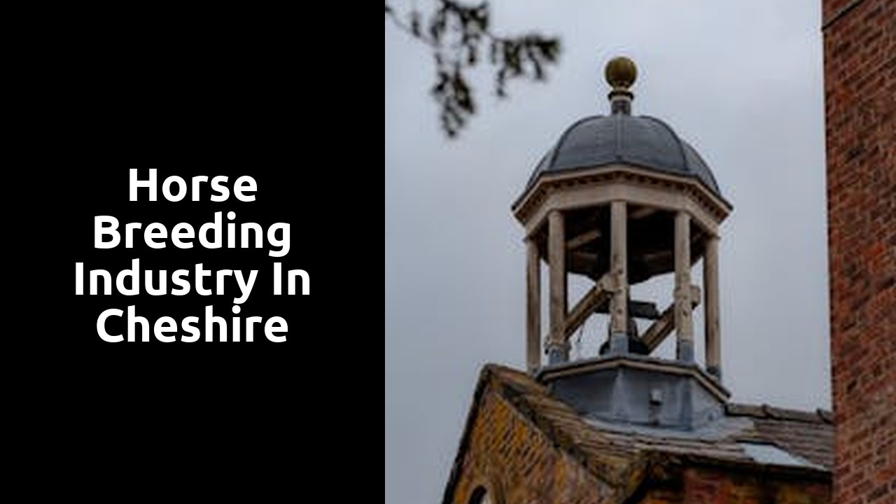 Horse Breeding Industry in Cheshire