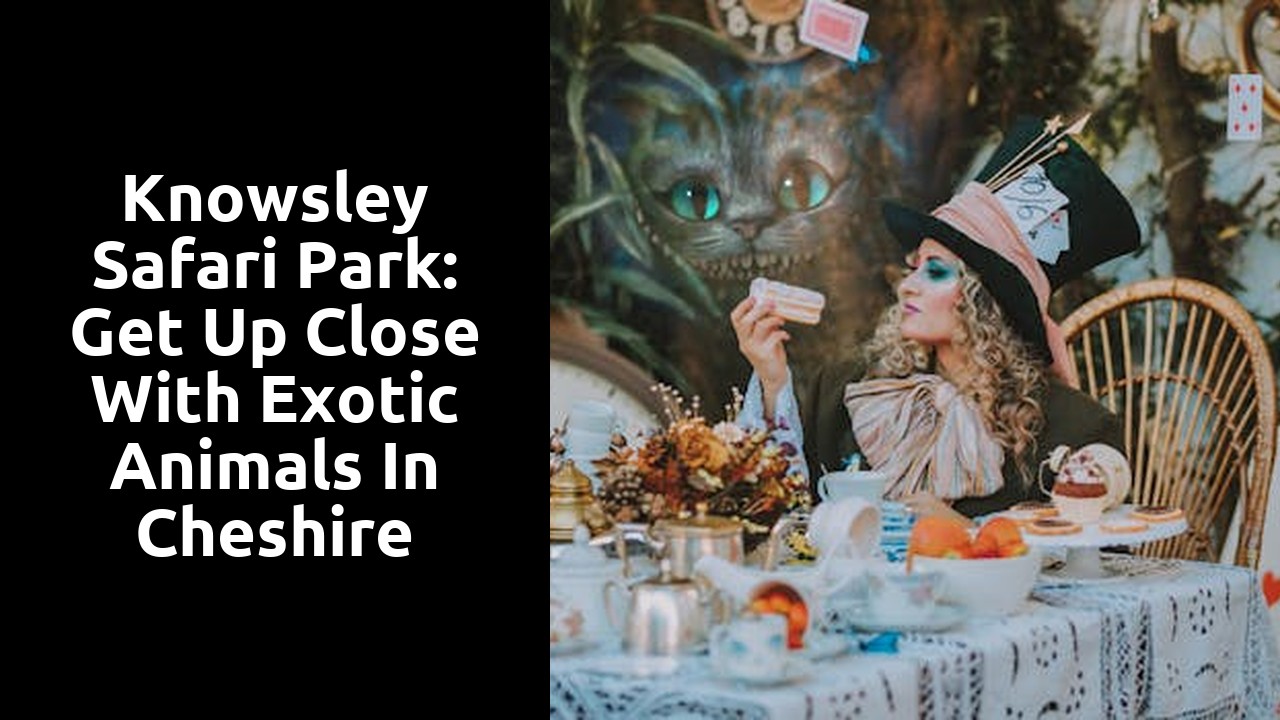 Knowsley Safari Park: Get up Close with Exotic Animals in Cheshire
