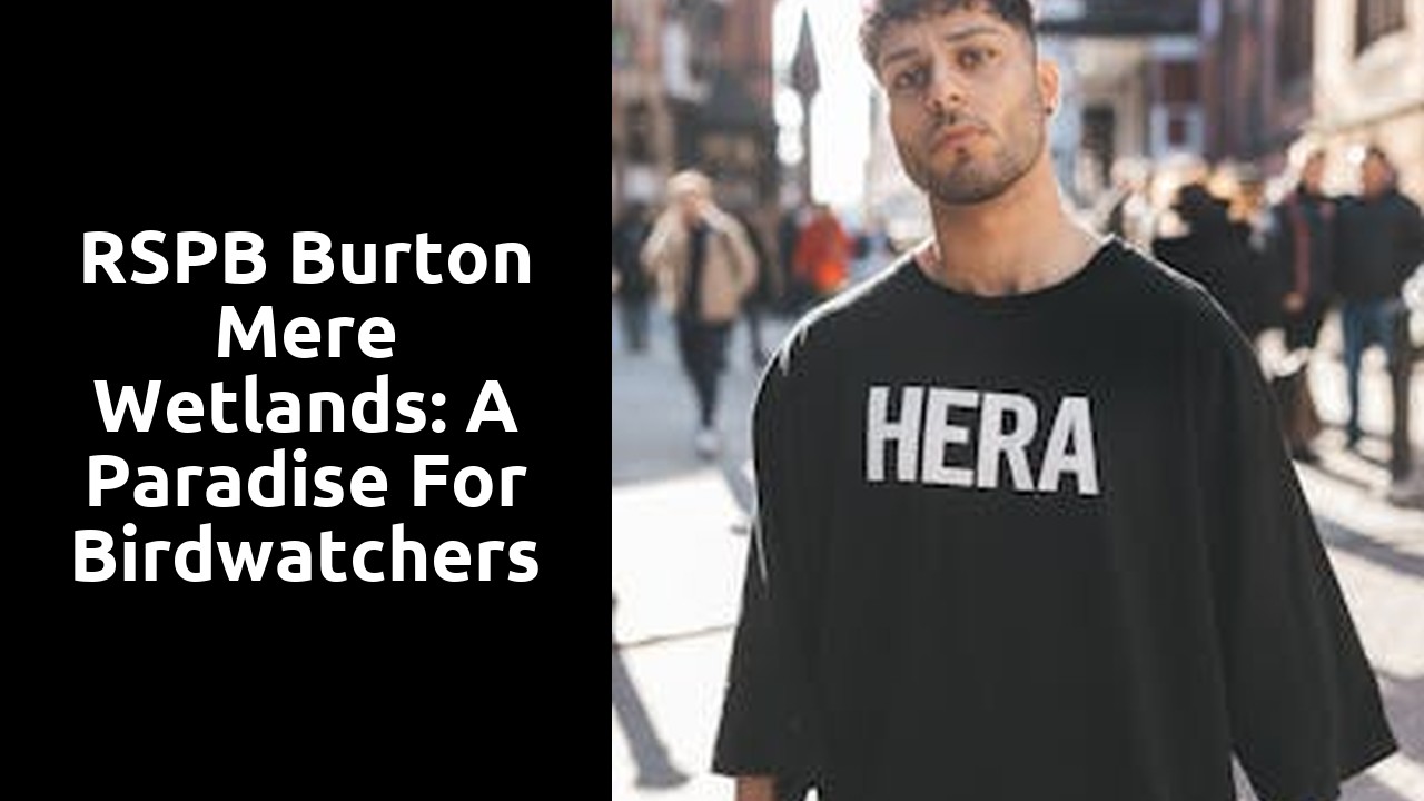 RSPB Burton Mere Wetlands: A Paradise for Birdwatchers