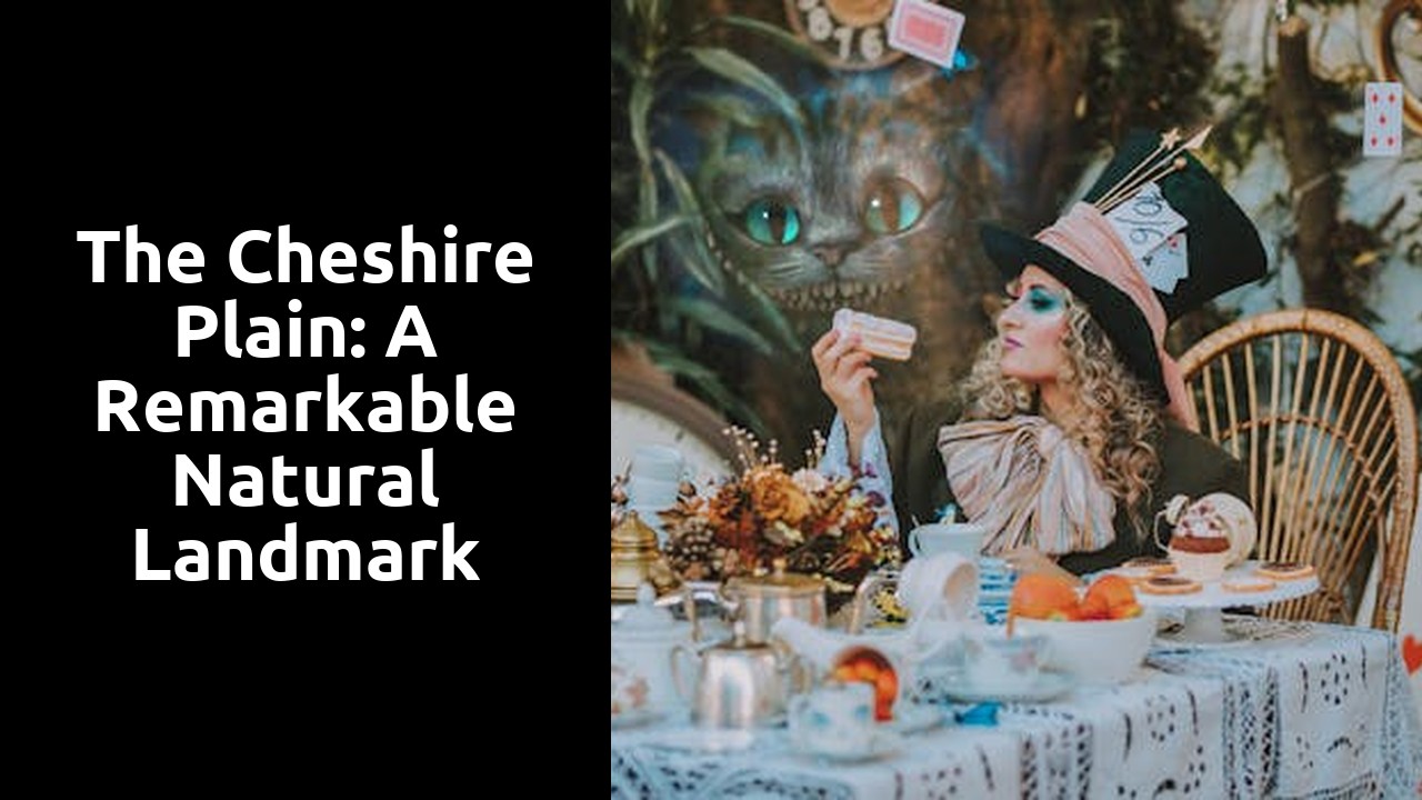 The Cheshire Plain: A Remarkable Natural Landmark