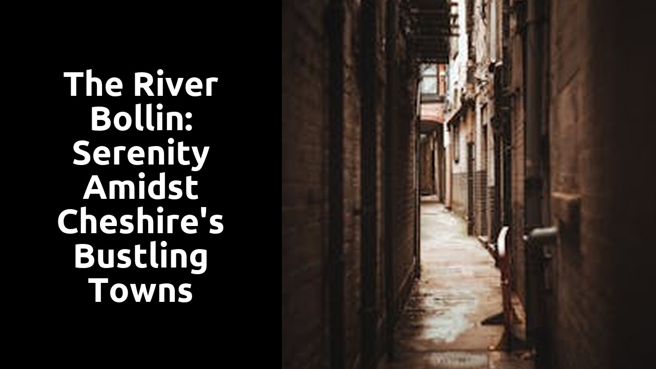 The River Bollin: Serenity amidst Cheshire's Bustling Towns
